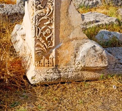 Bush gate  in  myra  the      old column  stone  construction asia greece and Stock Photos