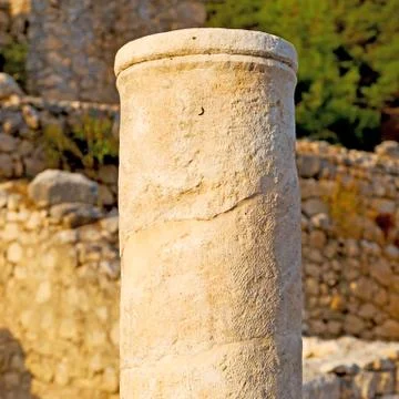 Bush gate  in  myra  the      old column  stone  construction asia greece and Stock Photos