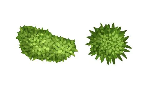 Bush Growth as Landscape Elements Above View Vector Set Ilustração Stock