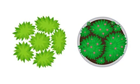 Bush Growth as Landscape Elements Above View Vector Set Ilustração Stock
