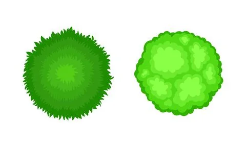Bush Growth as Landscape Elements Above View Vector Set Ilustração Stock