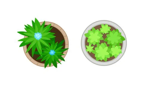 Bush Growth as Landscape Elements Above View Vector Set Stock Illustration