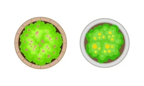 Bush Growth as Landscape Elements Above View Vector Set Stock Illustration