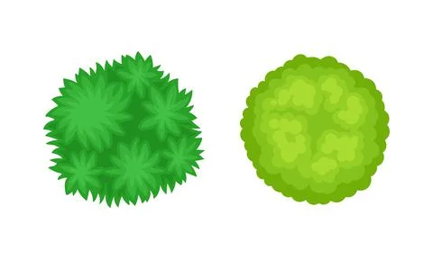 Bush Growth as Landscape Elements Above View Vector Set Stock Illustration