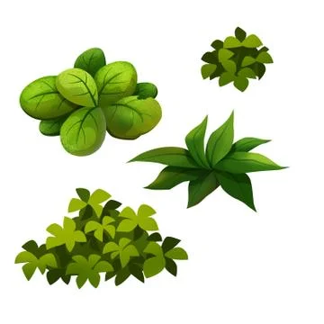 Bush Stock Illustration