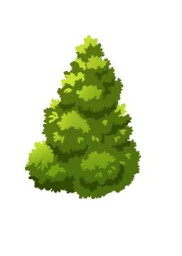 Bush Stock Illustration