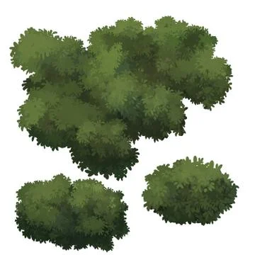 Bush Stock Illustration