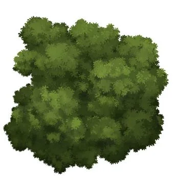 Bush Stock Illustration