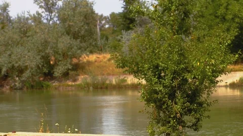 Bush by the lake Stock Footage 89536858