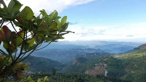 Bush In The Mountains Stock-Footage 82191427