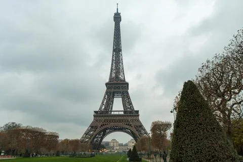 A bush next to the Eiffel Tower Stock-Fotos