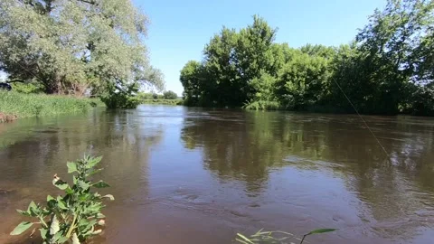 A bush over a fast river. Stock Footage 141135484