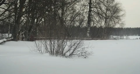 A Bush in an Over snowed Backyard During a Snow Storm Stock Footage 86626628