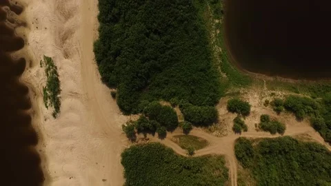 Bush river Bank Stock Footage 139454321