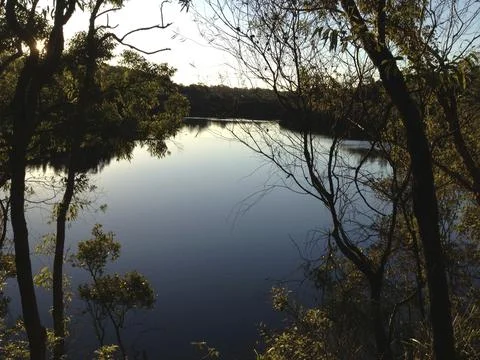 Bush river at dusk Stock Photos