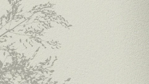 Bush Shadow Animation on Beige Wall Video stock 319882072