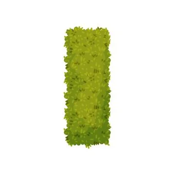 Bush in the shape of a rectangle. View from above. Vector illustration on white Stock Illustration