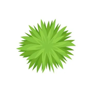 Bush with sharp leaves. View from above. Vector illustration on white background 스톡 일러스트