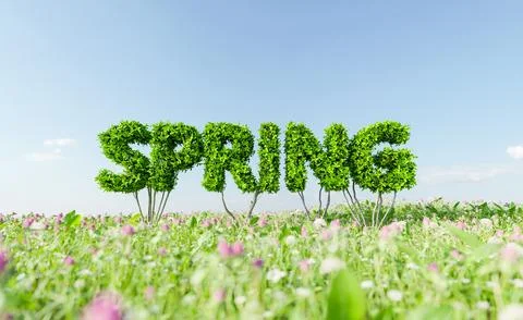 Bush sign with the word SPRING in a meadow Illustrazione stock
