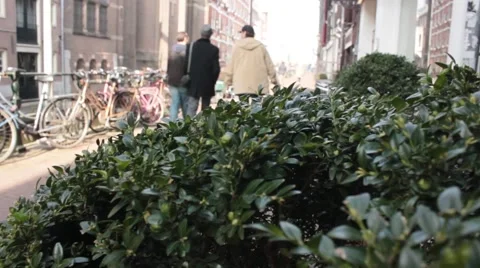 Bush slide Stock Footage 57110482