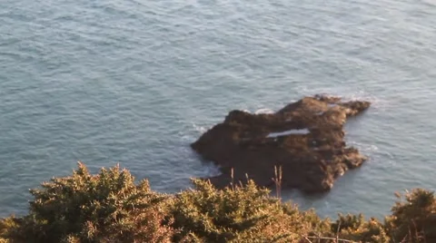 Bush with thorns is waving in the wind on a cliff, sea and island in background Stock Footage 46055071