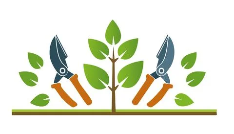 Bush trimming with sharp blades maintaining garden beauty encouraging new b.. Stock Illustration