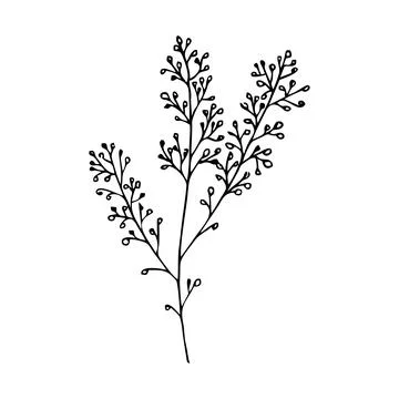 Bush twig Stock Illustration