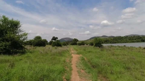 Bush Walk Video stock 203165122