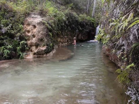 BUSH WATER FALL Stock Footage 100040896