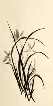 Bush of wild orchids Stock Illustration