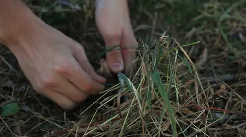 Bushcraft _6 Stock Footage 12374824