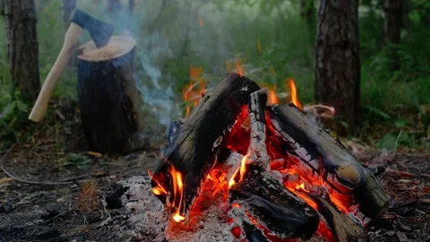 Bushcraft campfire burning in a pine forest with an axe on a log. Stock Footage 341977900