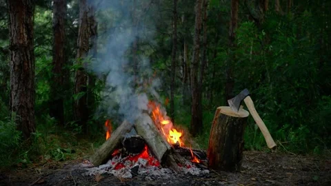 Bushcraft campfire burning in a pine forest with an axe on a log. Stock Footage 341977923