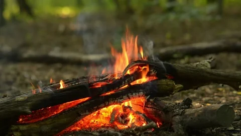 Bushcraft Campfire Logs Burning ASMR Wood Crackling Sound Video stock 342013139