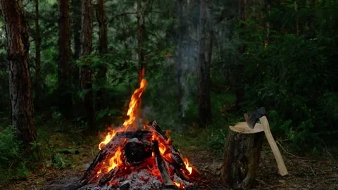 Bushcraft campfire in a lush forest with a sharp axe in a wooden log. Stock Footage 341977777