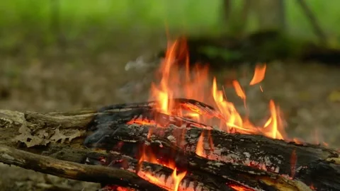 Bushcraft Campfire Wood Burning ASMR Crackling Sound Video stock 342012160