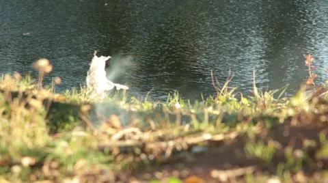 Bushcraft (fireplace by the river) Video stock 12363601