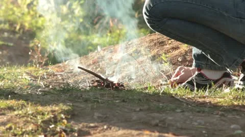 Bushcraft Stock Footage 12362366