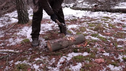 Bushcraft, a guy chopping a log with a beautiful axe Stock Footage 201109975