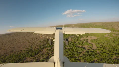 Bushcraft plane flying over thick savannah bushland Stock Footage 310986698