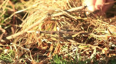 Bushcraft (setting up a fireplace) _1 Video stock 12364447