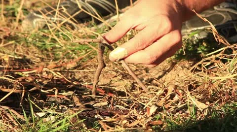 Bushcraft (setting up a fireplace) _2 Stock Footage 12364915