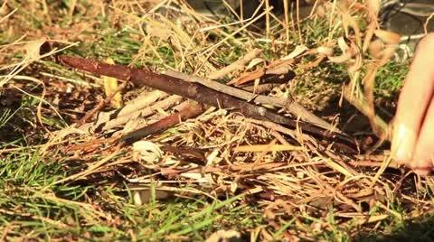 Bushcraft (setting up a fireplace) _3 Stock Footage 12366523