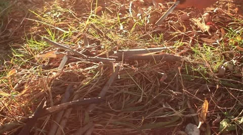 Bushcraft (sparks from the flint) _4 Stock Footage 12371659