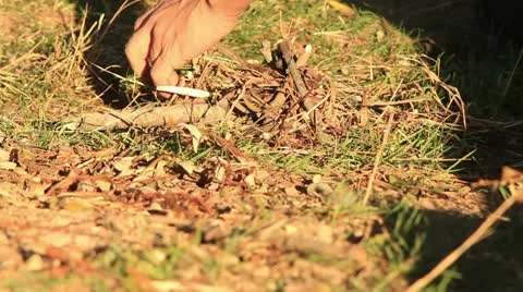 Bushcraft (starting a fire) _2 Stock Footage 12370631