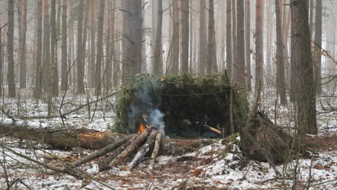 Bushcraft winter survival shelter with Stock Video Pond5