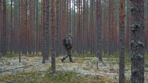 A bushcrafter is walking through the forest with a backpack. Vidéo 318832934