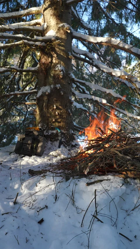 A bushcrafters camp Vídeos de archivo 329611403