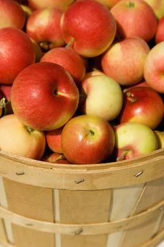 Bushel Of Apples Stock Photos