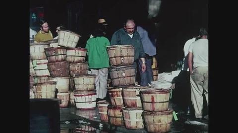 Bushel baskets of clams being moved and sold at the Fulton Fish Market in New Stock Footage 82516005